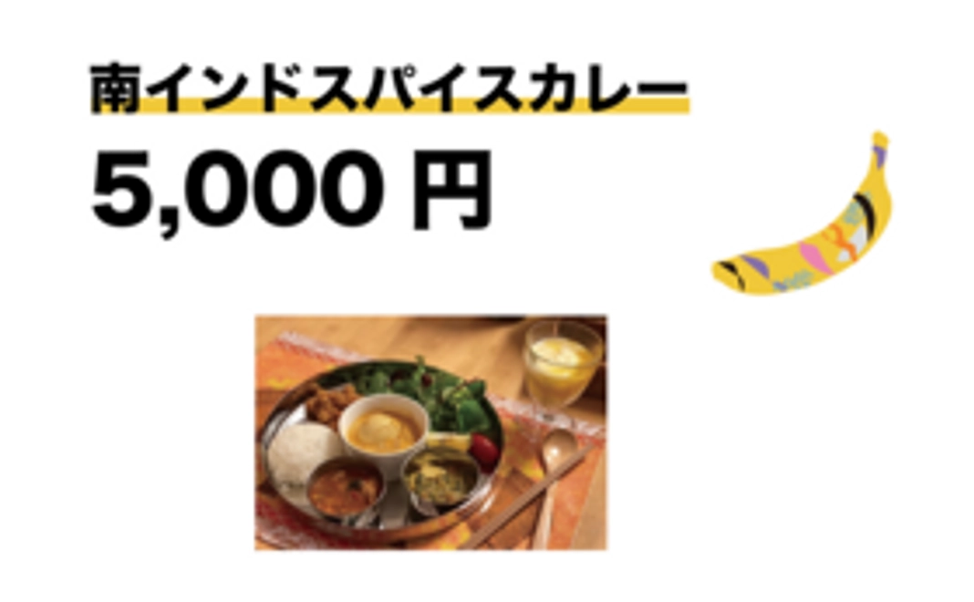 南インドスパイスカレー