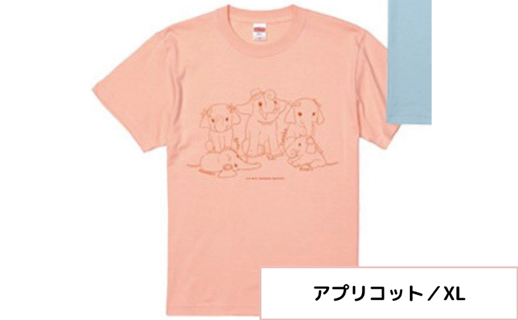 ＜7/12NEW＞結希＆4姉妹支援Tシャツ【アプリコット／XL】＋バッジ