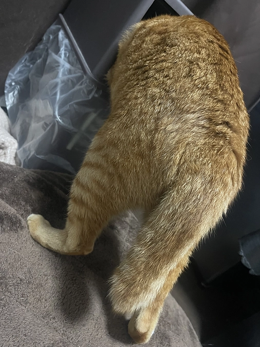 1週間が経ちました。