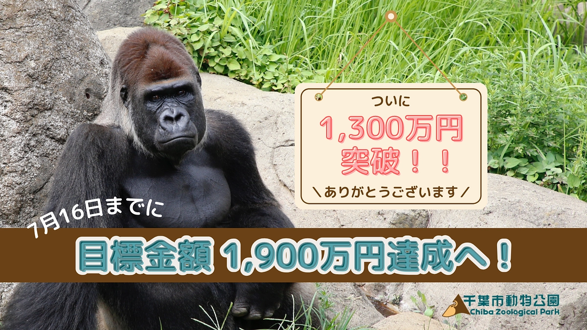 【残り１日】1300万円達成しました！