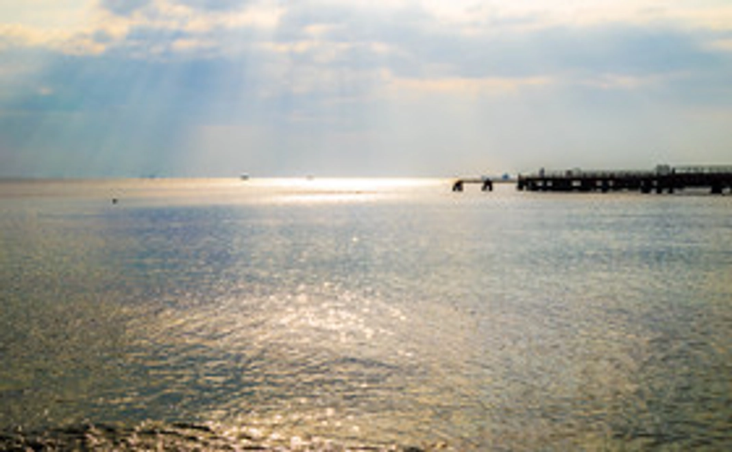 感謝の気持ちのポストカード