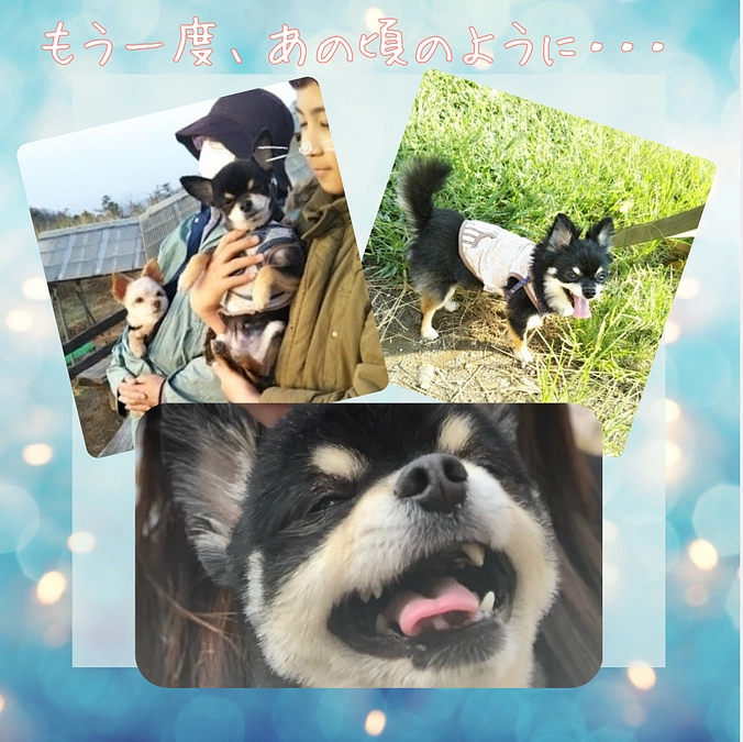 達成率10%になりました