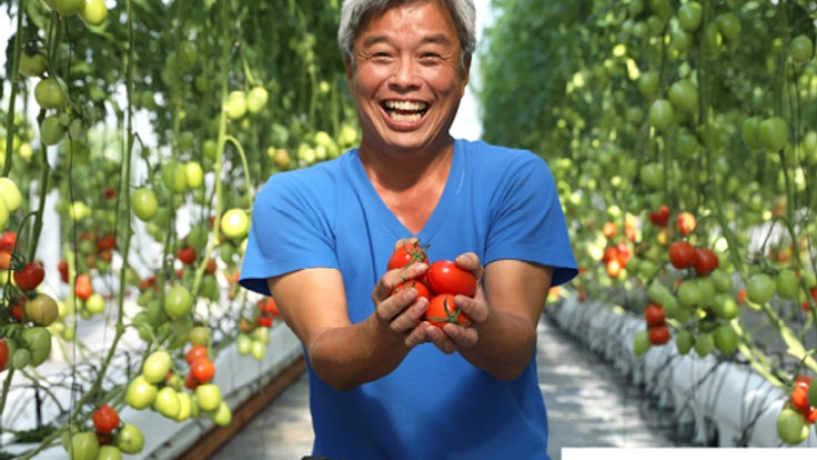 「加熱用トマト」の美味しさ・食文化を日本で伝えていきたい！