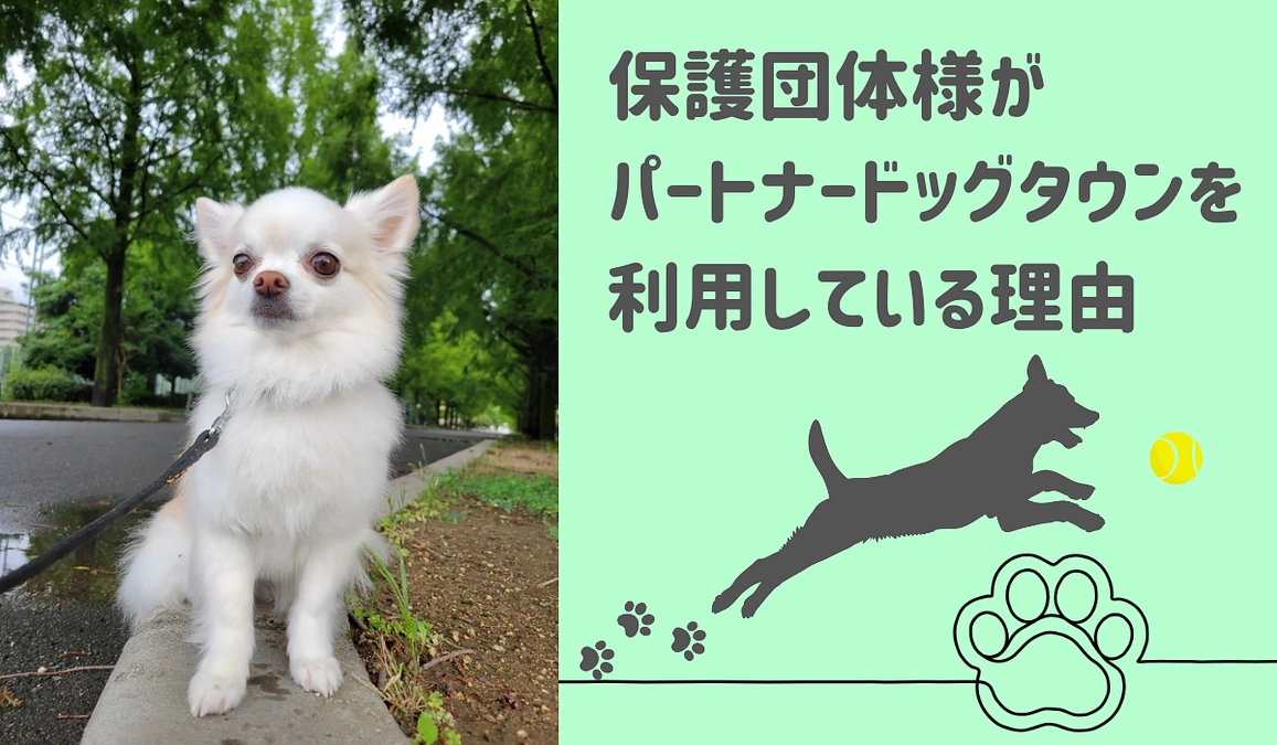 【プロジェクト達成間近！86%達成】パートナードッグタウンが秘めている可能性