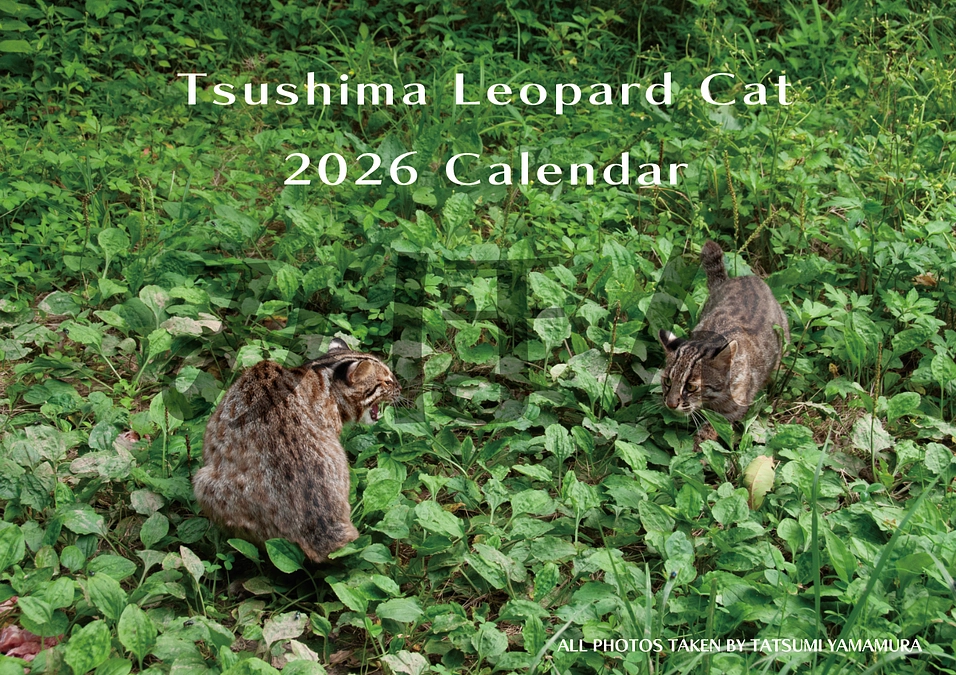 たくさんのご支援ありがとうございました。