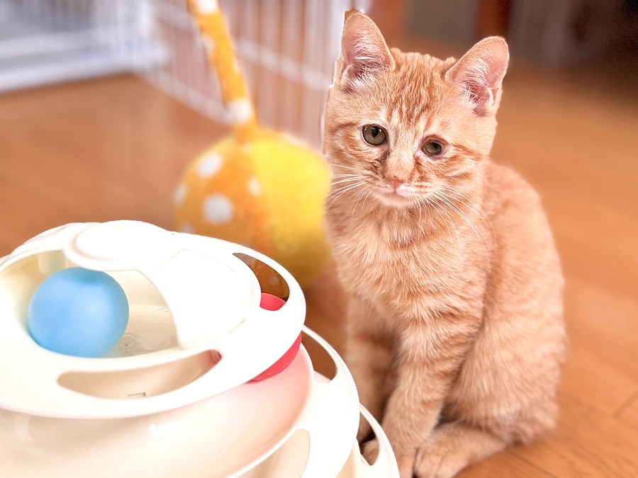 進捗状況と活動のご報告