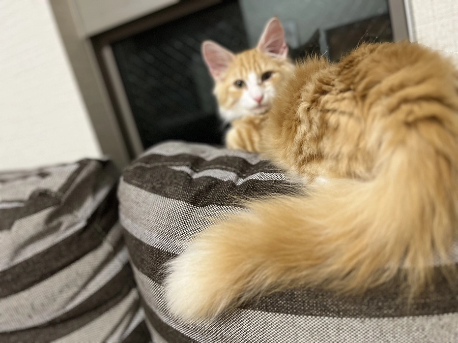 投薬17日目の様子