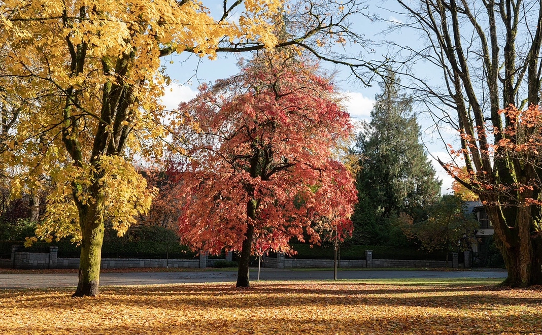 活動報告コース