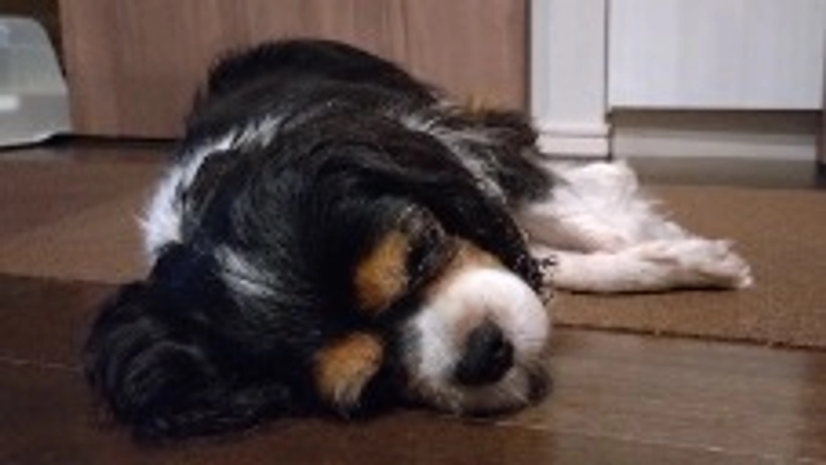 9月17日放射線４回目