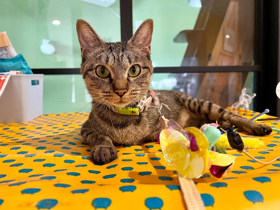 リターンの遅延についてお詫びです