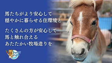 馬たちの安心安全な住環境と、皆さまと触れ合えるあたたかい牧場造りを のトップ画像