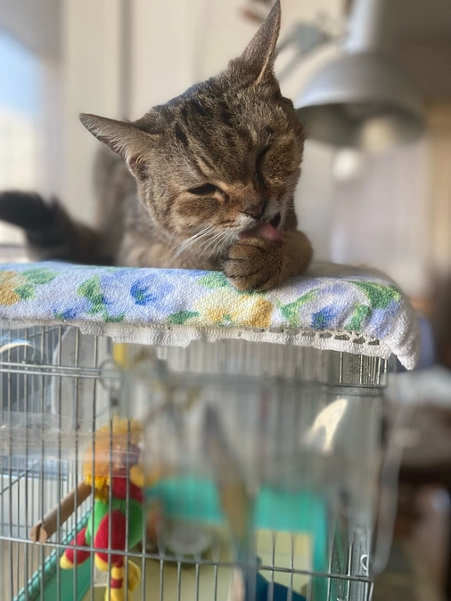 永年預かり制度を利用した新たな幸せ