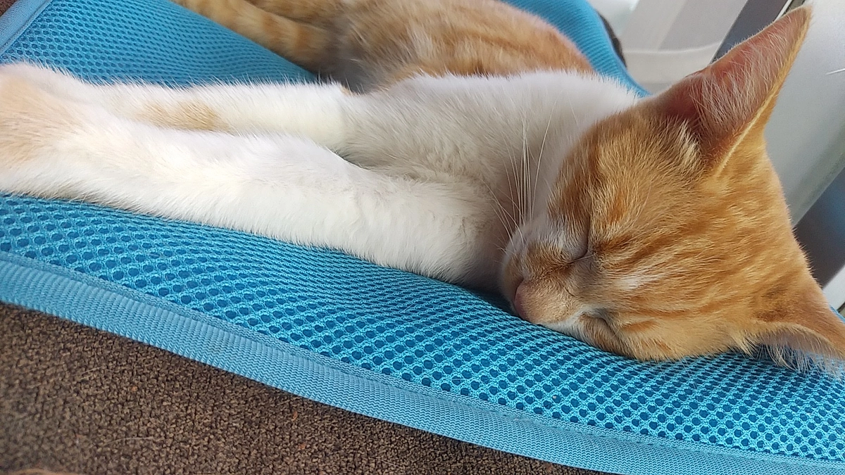 皆様からの支援金が今日振り込まれました🙇