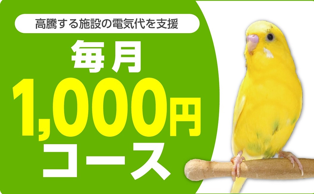 高騰する施設の電気代をご支援