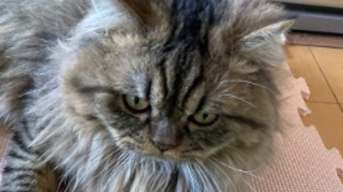 眠いのかしんどいのか