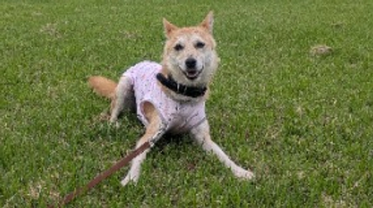 インスタアカウント作成しました！