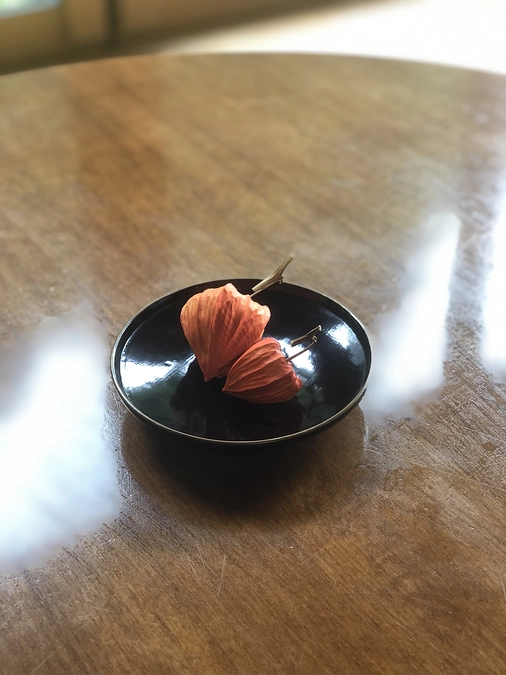 ご支援の御礼と活動進捗報告①