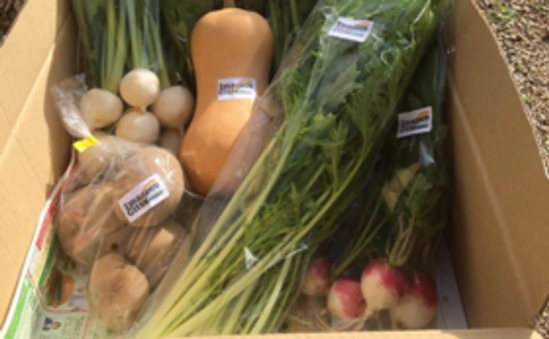 オーガニック野菜＆漬物詰め合わせ