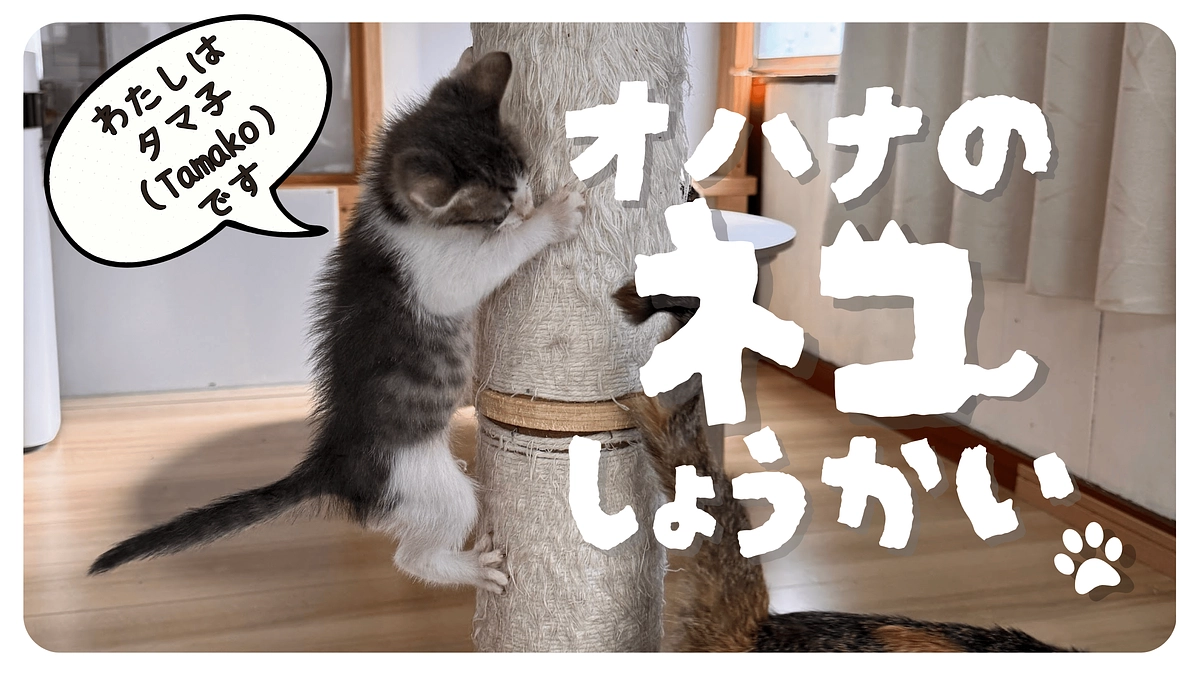 ご支援いつもありがとうございます。