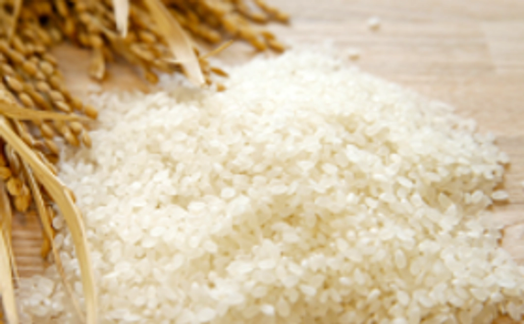 北海道のお米をどんと5キロお届け！