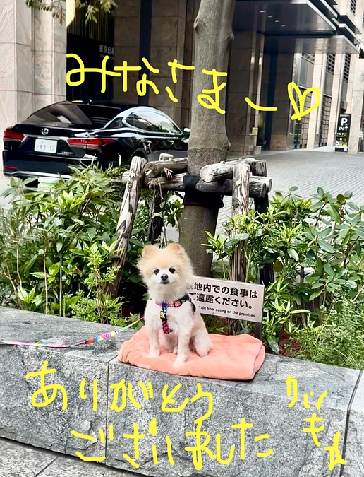 リターンについて☆