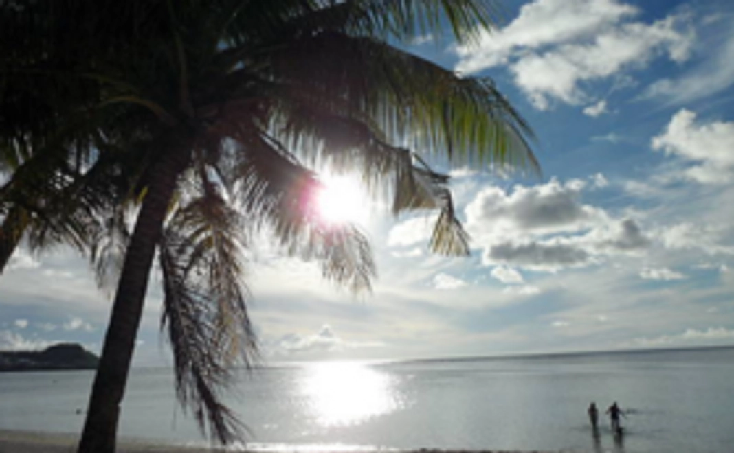 サンクスレター