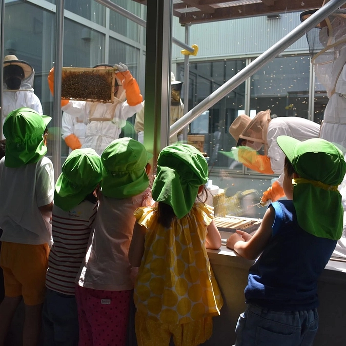 市立札幌大通高等学校　大通高校ミツバチプロジェクト