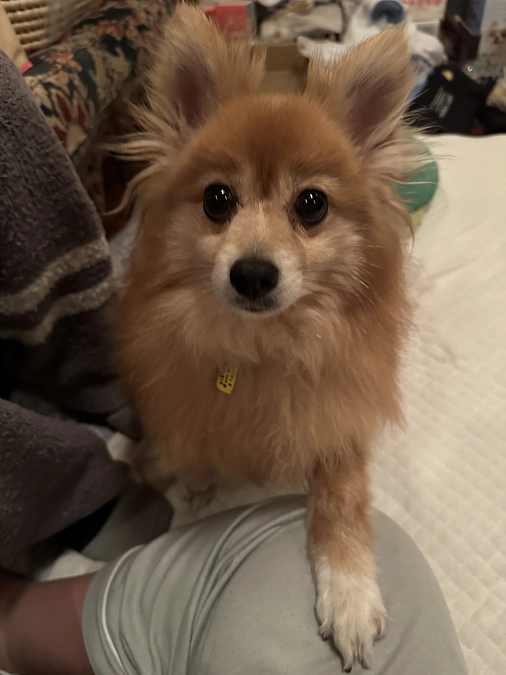 🆘残り4日達成度50％🆘