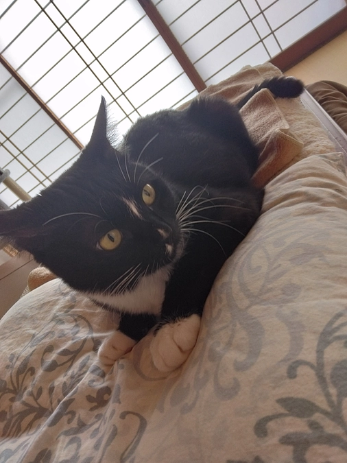 5/19はなちゃんの様子