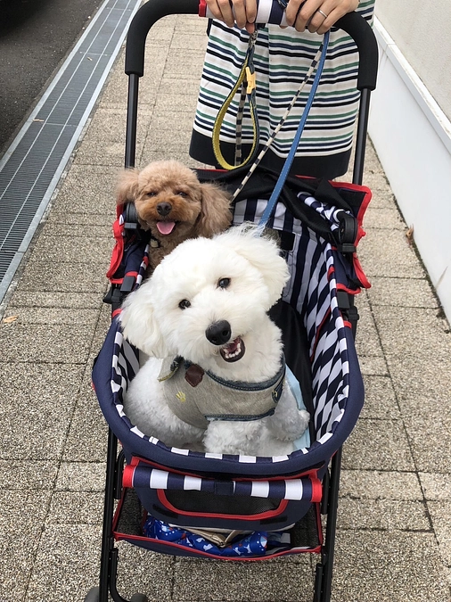 応援メッセージが届きました！