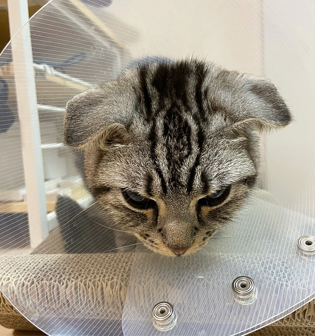 2023.6.8🔥 #闘病生活 51日目🔥