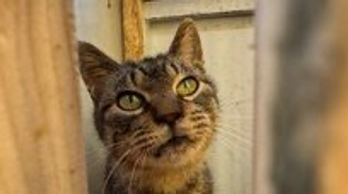 崩壊現場の子達の様子と、ご支援のお礼