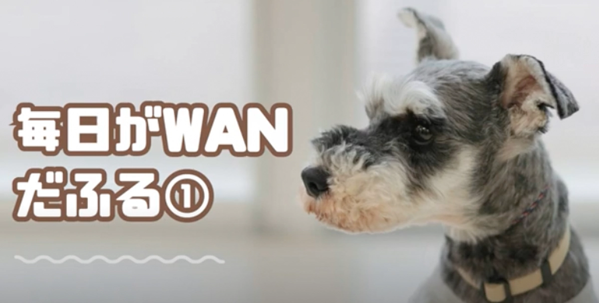 ラジオ『毎日がWANだふる』