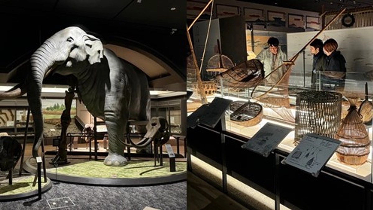 リターンのひとつであるナイトミュージアムを実施しました！