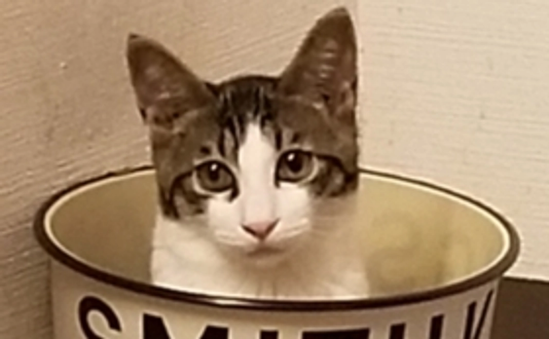 ご支援お願いいたします！