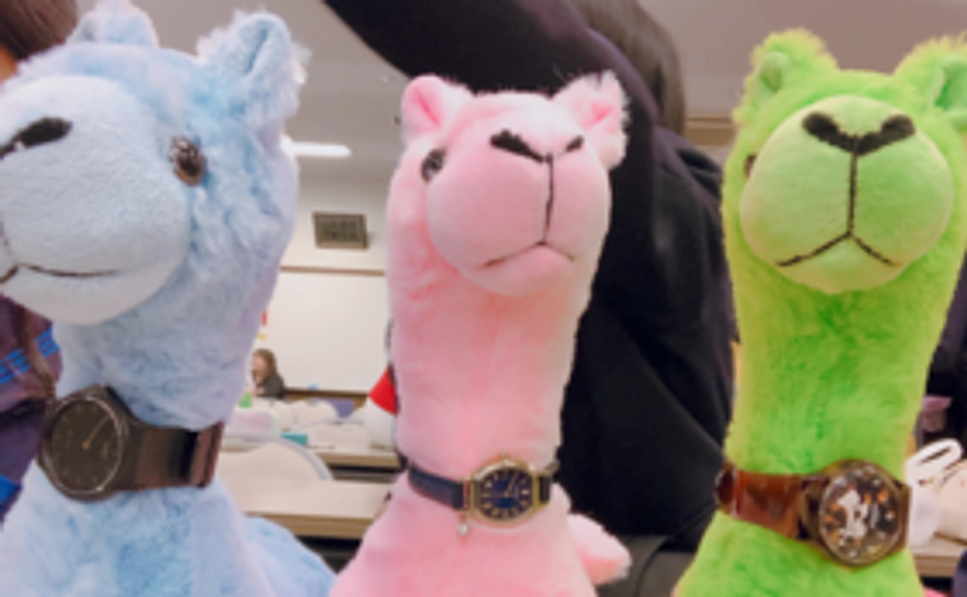 【学生向け特別応援コース！】WSCレポートをお届け