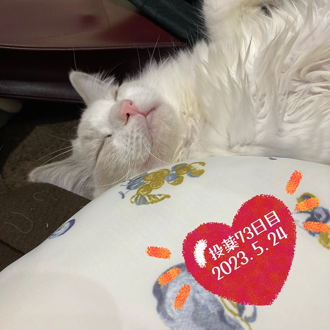 投薬７３日目(2023.5.24)&ご支援のお知らせ