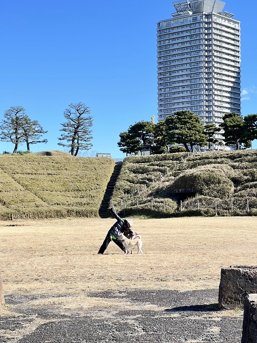 2月のパックウォークの下見〜お台場〜