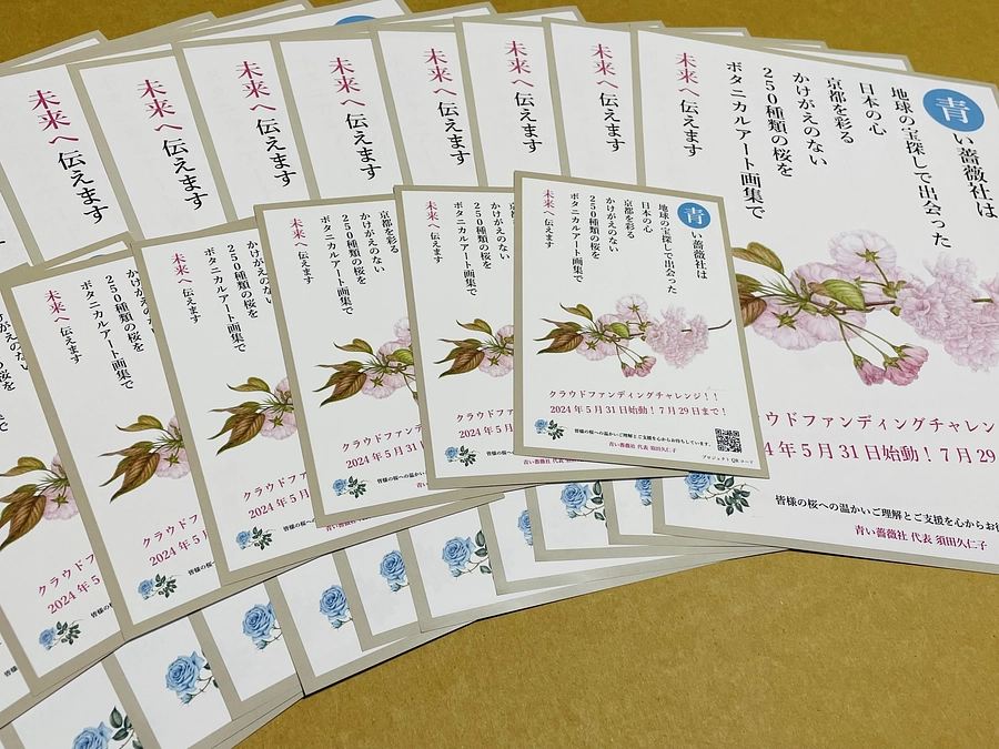 案内チラシとハガキ