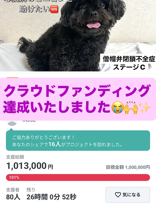 クラファン無事達成いたしました😭🙌🎉