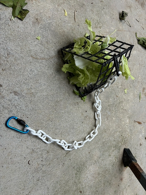 フィーダーを入れてはみたものの…