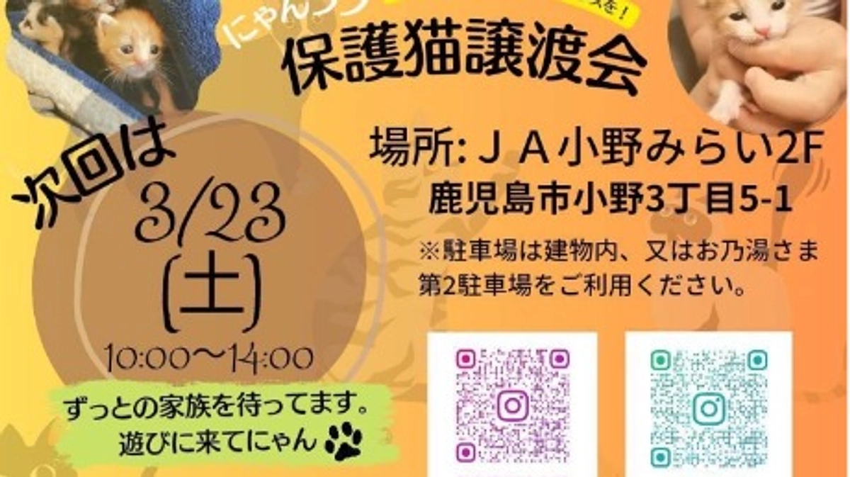 【ご協力に感謝！！】応援協力店舗様ご紹介リレー！③