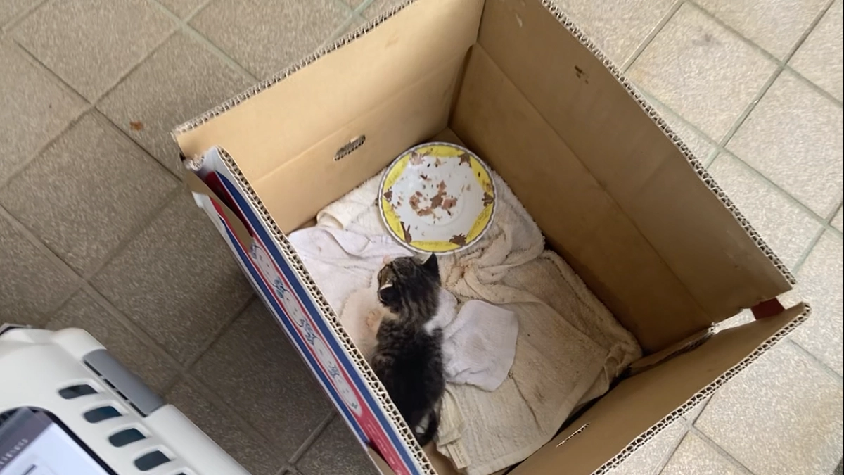 挑戦６日目！！