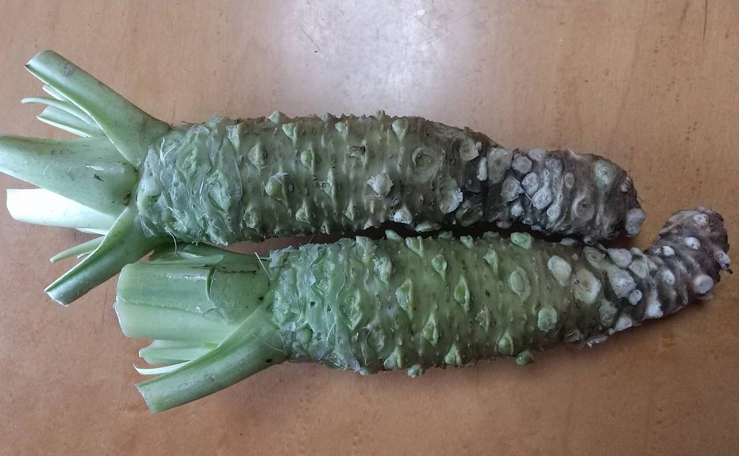 天然生ワサビ(180g)