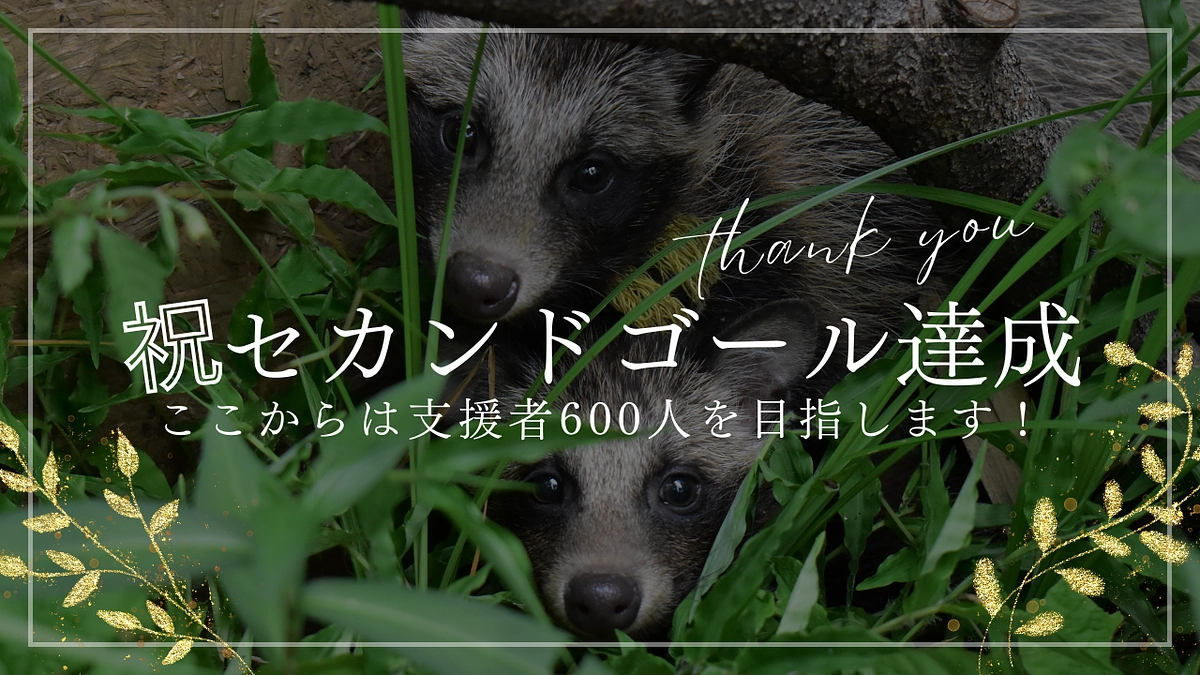 【クラファン残り2日】なんと！！！！！ 600万円達成です！！！！！