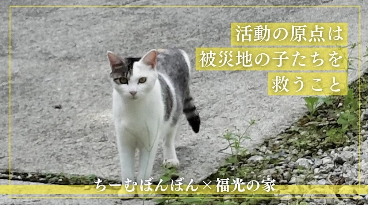 振込いただきました！