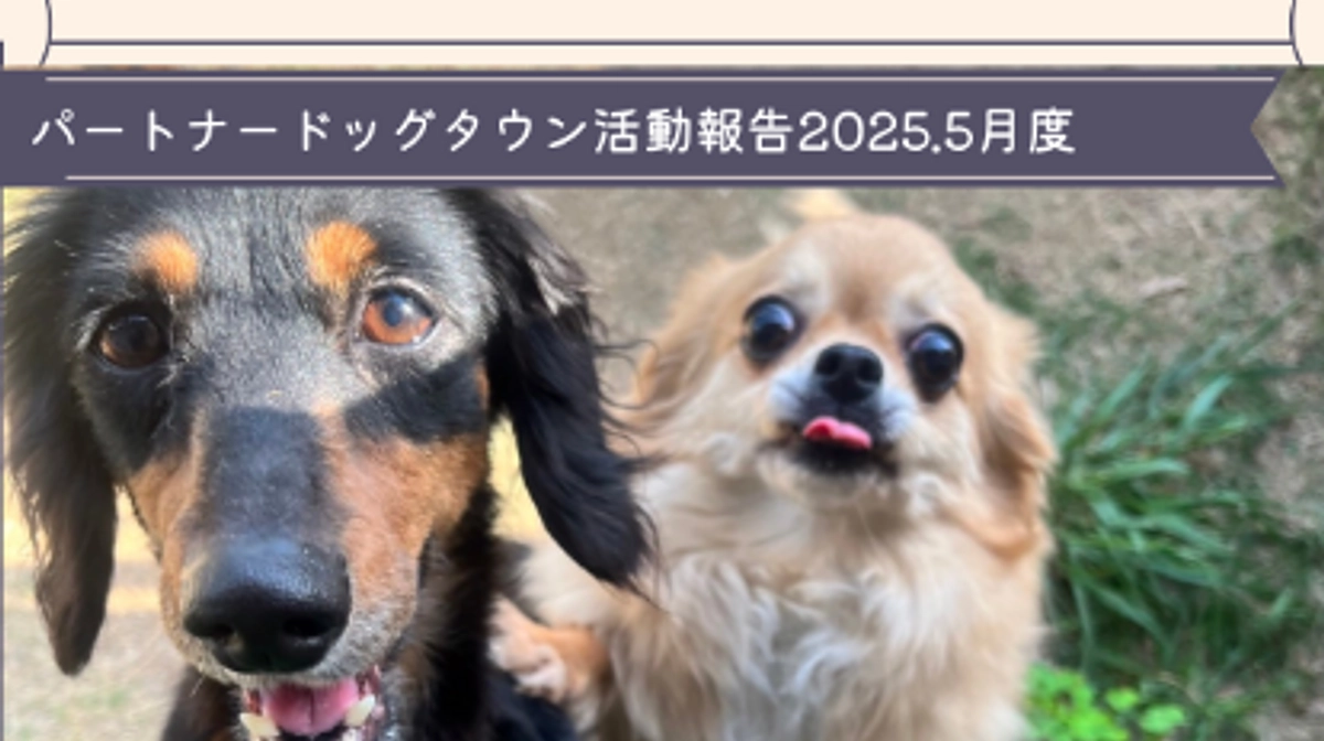 2025年5月度活動報告