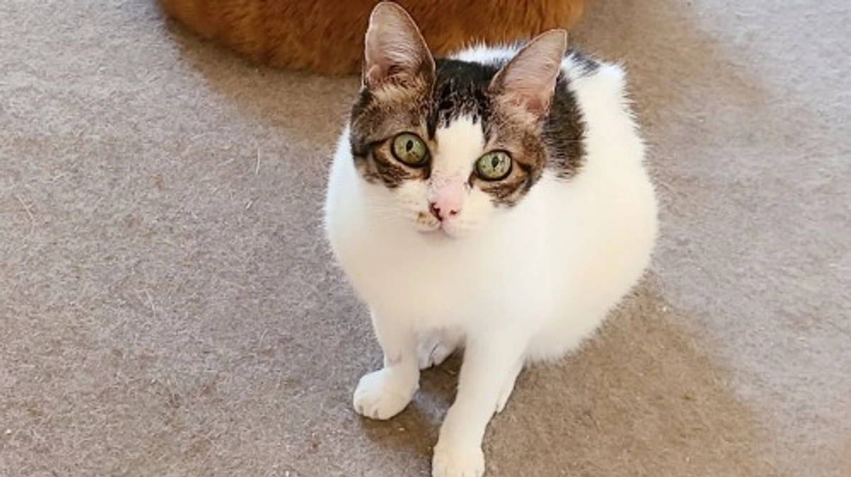 【ご支援金額200万円まで残り6.7万円です！】ご支援物資のお礼📦