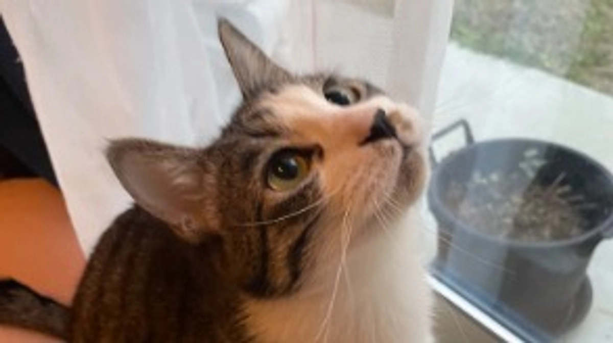 SNSで応援してくださるみなさまへ