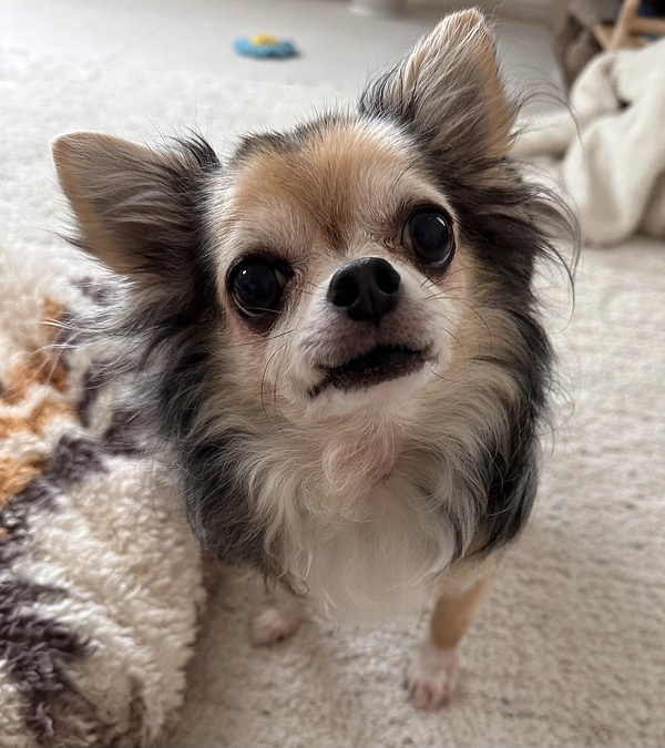 インスタライブありがとうございました！！！